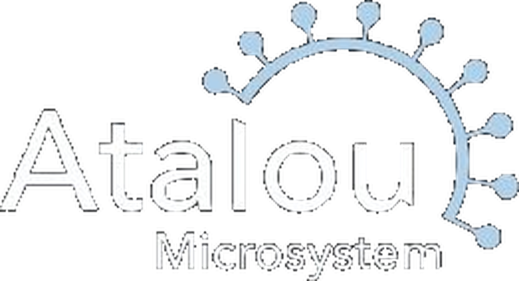 Atalou Microsystem